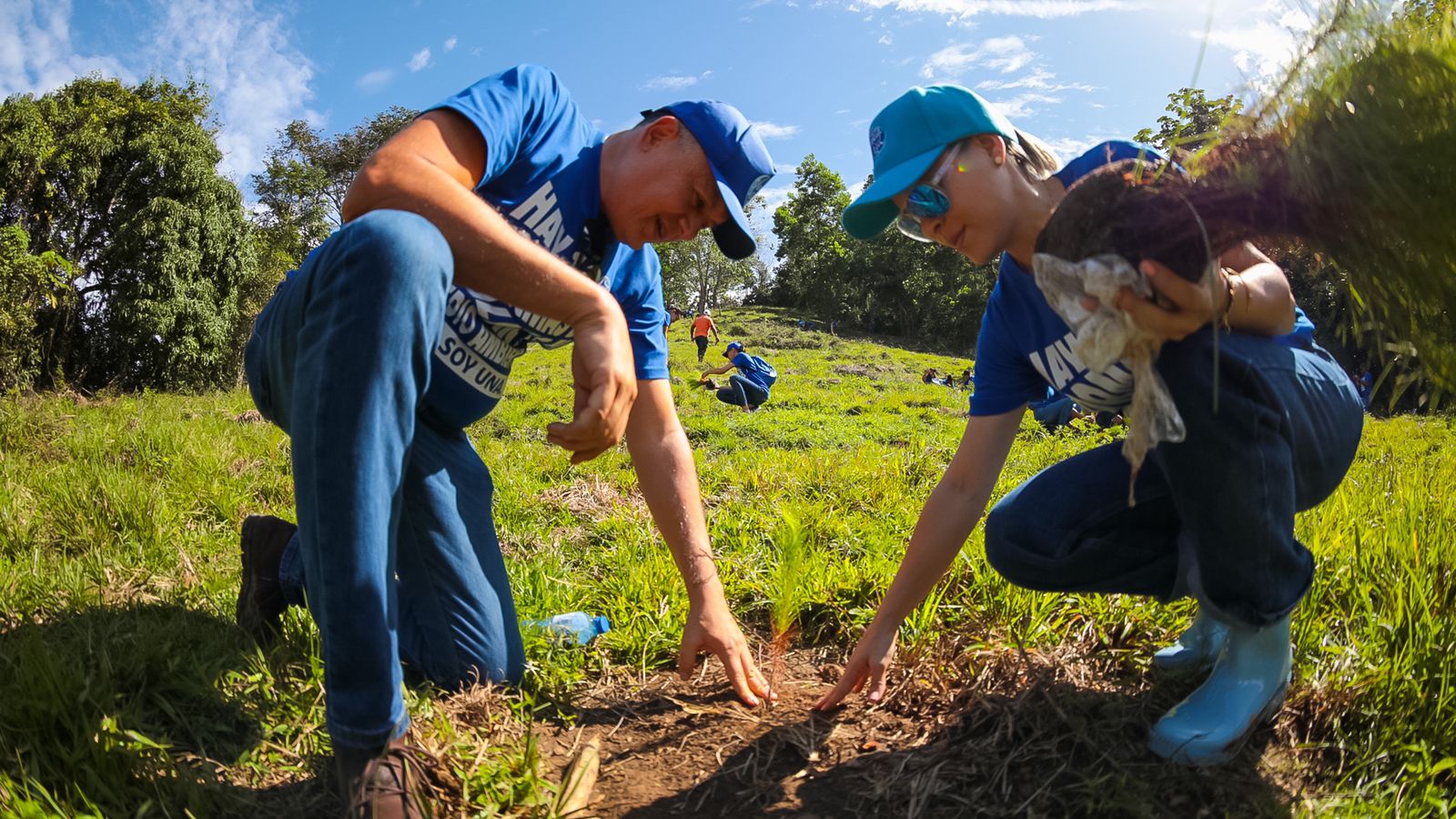 Planeta Azul inicia proyecto de reforestación en Río Haina 