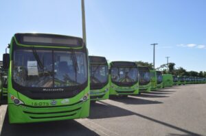 OMSA dispone de 43 autobuses para operativo Semana Santa 2022