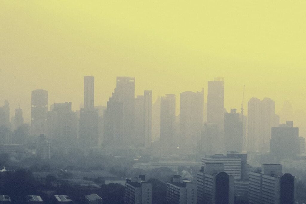 Alerta la OMS: casi todo el planeta respira aire contaminado