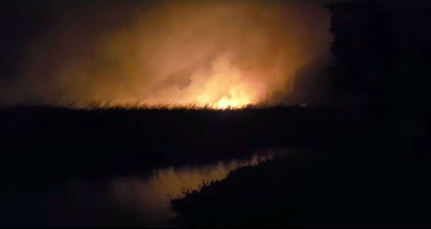 VIDEO: Incendio en la laguna de Cabarete amenaza población
