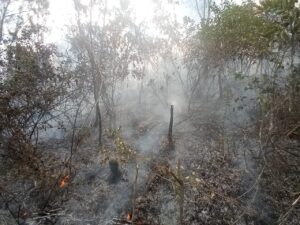 Vehículo se incendia en Santiago Rodríguez y provoca incendio forestal