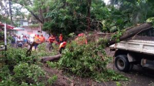Lluvias y fuertes vientos afectan unas 15 viviendas en Puerto Plata