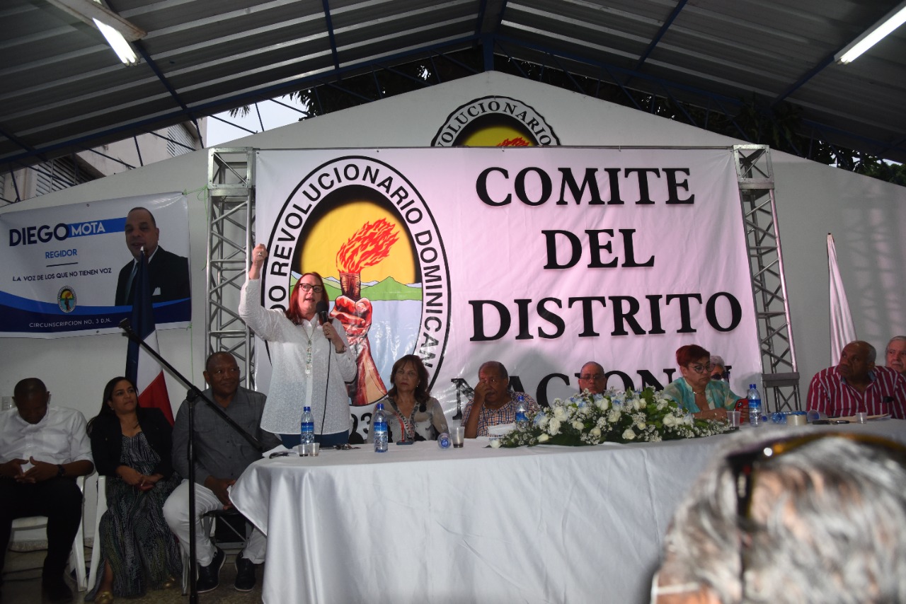 Janet Camilo aspirará a alcaldesa del Distrito Nacional
