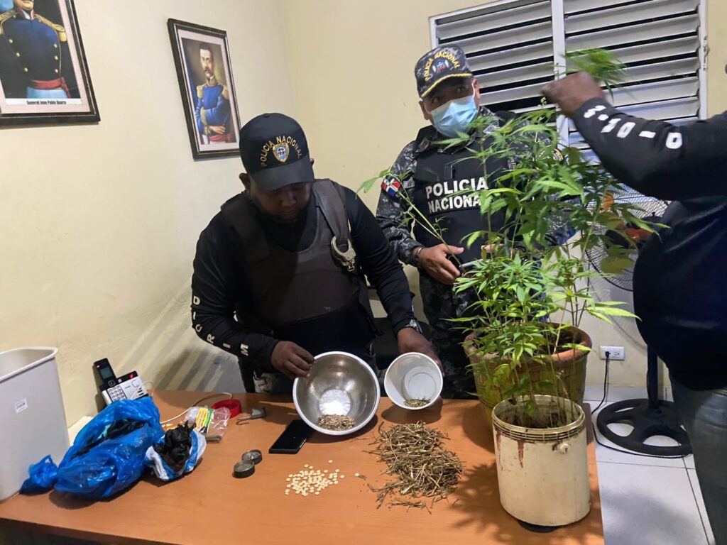 Arrestan a “El Cura” con plantación de marihuana en su residencia en Montecristi