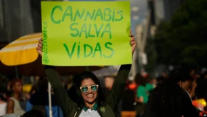 Brasil autoriza cultivo de cannabis para uso medicinal