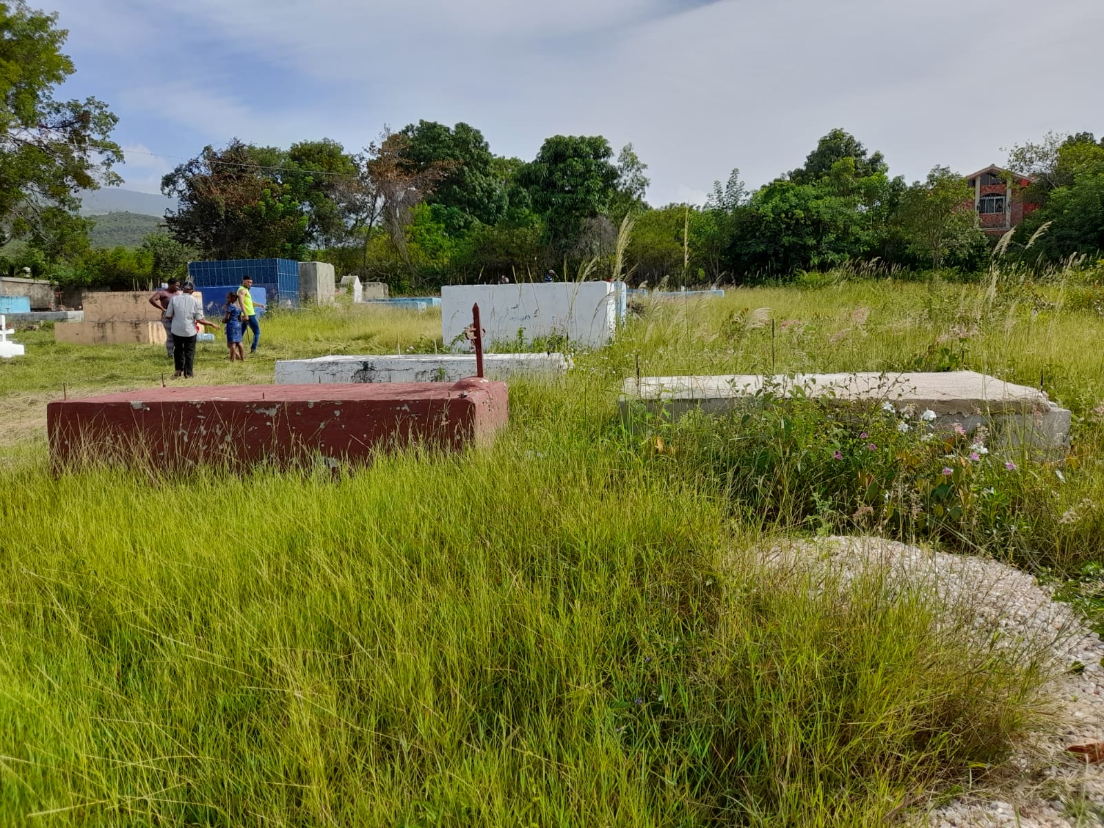 La hierba adorna  "tumbas" en cementerio de la Guázara-Barahona