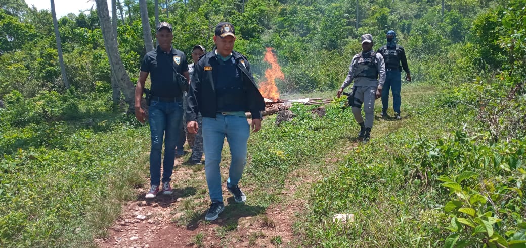Policía Nacional realiza amplio operativo antidrogas en Samaná