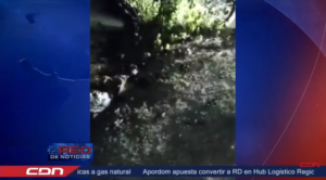 SENPA incauta 8 sacos y medio de cangrejos en Monte Cristi