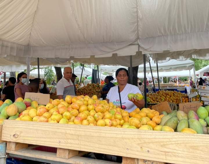 Continúa con éxito Feria del Mango Baní 2022