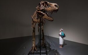 Subastarán esqueleto de dinosaurio de hace 77 millones de años