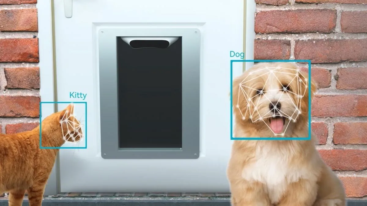 Crean puerta con reconocimiento facial para mascotas, descubre cómo funciona